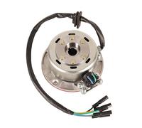 Moto Bobine d'allumage Kit De Volant D'inertie De Stator Magnétique D'allumage 12V AC pour YX Ying Xiang 140cc 150cc 160cc Moto Pit Dirt Bike ATV GO Kart Bobine