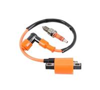 Moto Bobine d'allumage pour VTT pour Quad pour Dirt Pit Bike Moteur Bobine D'allumage Interrupteur D8TJC Bougie CG 50cc 125cc 150cc 200cc Moto Redresseur