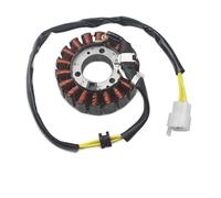 Moto Bobine Magnéto stator Bobine De Stator De Moto pour CH250 pour Elite KAB 31120-KAB-018 FES250 pour Prospective 31120-KFG-008 NSS250 pour Reflex