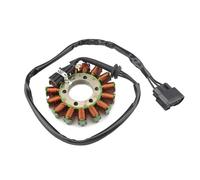 Moto Bobine Stator pour BMW S1000R K47 S1000RR K46 S1000XR K49 HP4 K42 pour Race K60 12318553990 Bobine De Stator De Générateur De Magnéto De Moto Moto Stator Magnéto