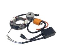 Moto Bobines Allumage Stator Magnéto Ensemble De Boîtiers CDI, Bobine Stator D'allumage Et Rotor pour Moto RM80 (1996-2001), RM85 (2002-2017) RM85L (2003-2020)
