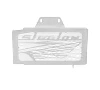 Moto Couverture Grille Radiateur pour VT125 pour Shadow VT 125 1999 2000 2001 2002 2003 2004 2005 2006 2007 Moto Radiateur Garde Calandre Protecteur