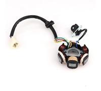 Moto d'alternateur Bobine Bobine D'allumage Magnéto Moto 6 Pôles Démarrage Électrique Stator Générateur Universel