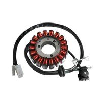 Moto d'alternateur Bobine Bobine Stator Générateur Magnéto Moto DAE31120-BA1-R300 pour VL125 FI pour Daystaraystar pour Carburant pour Injection