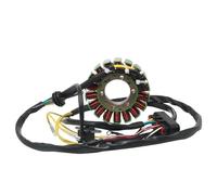 Moto d'alternateur Bobine Bobine Stator générateur Moto pour Sportsman MV7 600 700 pour Militaire 2004 2005 2006 OEM: 4010901 Accessoires