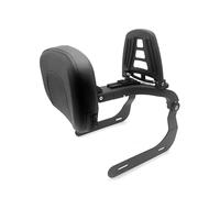 Moto Dossier Coussinet Coussin De Dossier Arrière Avec Porte-bagages Pour BMW R18 100 Ans Et Plus, Sissy Bar Passager Amovible Sissy Bar Passager(Couleur 4)