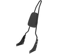 Moto Dossier Coussinet Dossier Passager Arrière Pour Moto Pour VT1100C Pour Shadow 1987-1996, Barre De Maintien Amovible Avec Coussin Amovible Sissy Bar Passager(Noir)