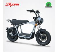 Moto électrique DAX E-WAT 1200W SKYTEAM / Gris