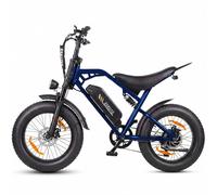 Moto Électrique | ESKUTE V202 | 250W 48V20.8Ah 20x4 Freins Mécaniques - Bleu