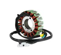 Moto générateur Bobine stator Bobine D'allumage De Stator Magnéto 12 V pour Moto TGB Blade 250 Blade 325 Target 325 OEM: 923706. Accessoires De Bobine De Stator