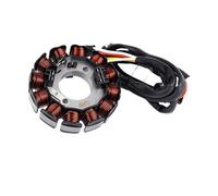 Moto générateur Bobine stator Bobine De Stator D'allumage De Générateur De Moto, Plaque De Bobine De Stator De Moto pour Gas Gas EC250F EC450F EC300F Enduro 4T