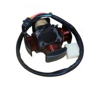 Moto générateur Bobine stator Moto À Trois Roues ATV CG125 150 300 Bobine De Générateur Stator De Moteur Magnétique 4 8 11 12 18 Pôles 160W 200 250W 350W