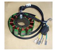Moto générateur Bobine stator Moto À Trois Roues ATV CG125 150 300 Bobine De Générateur Stator De Moteur Magnétique 4 8 11 12 18 Pôles 160W 200 250W 350W