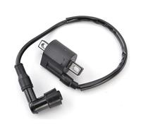 Moto Interrupteur Clé Contact Bobine D'allumage De Moto Pour Suzuki Pour FB100 Pour ATV LT125 Pour DR200S 33410-09411 33410-09412