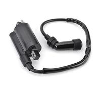 Moto Interrupteur Clé Contact Ensemble Bobine D'allumage Pour Pour XV125 XV125S XV240 XV250 Pour Virago SRV250 SRV250S Pour Renaissa 4DN-82320-00 4DN-82320-01