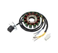 Moto Magneto stator d'allumage Bobine De Stator Remplacement pour Moto Magnéto pour Caravel pour Shark 250 ATV/UTV K079-931 Assemblage Plaque D'allumage