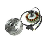 Moto Plaque Magnéto D'allumage Stator Accessoires Moto pour CF250SR NK250 Stator Rotor Bobine Combinaison Magnéto Bobine Magnéto Stator Allumage Générateur