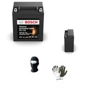 MOTO SPORT MONDO COMPATIBLE AVEC YAMAHA XV Virago 535 1986 A 2002 BATTERIE YB12AL-A2 BOSCH FA112 FOURNIE CHARGÉE ET PRÊTE À L'EMPLOI BATTERIES 12 AMPÈRES 12 VOLTS 81X134X160MM