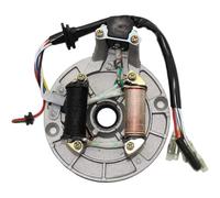 Moto Stator Bobine d’Allumage Plaque De Stator Magnétique D'allumage À 2 Bobines, pour Générateur Bobine 50cc 70cc 90cc 110cc 125cc ATV Quad 4 Roues