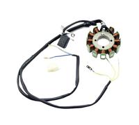 Moto Stator Bobine d’Allumage Stator Magnétique À 12 Pôles De Bobine, Pièces De Rechange pour CG250 Li&Fan Zo&ngshen 250cc ATV Quad Bu&ggy Go Karts, Allumage De Bobine