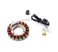 Moto Stator Bobine d'allumage Bobine De Stator De Générateur De Moto pour Bennche Bighorn 500 700 Grey Wolf 500 700 UTV700 327700001 Hisun Motors Corp Qlink Rodeo