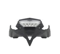 Moto Support De Plaque pour BMW F900R 2020-2024 Support De Plaque D'immatriculation Arrière Court pour Moto Support De Contre-Pointe avec Éclairage LED Support Plaque Moto(Transparent)