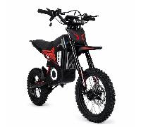 Moto tout-terrain électrique FreeBoy Y10 pour adultes avec batterie 48V 30Ah