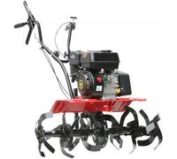 Varan Motors - 93019 Motoculteur Thermique Moteur 6.5CV Largeur de travail 80CM