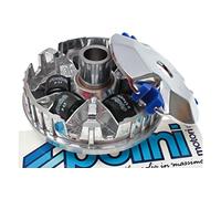 Motodak Variateur Hi-Speed Polini Kymco Agility/Dink