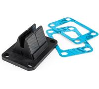Motoforce Racing Evo Reed valve pour AM6/Derbi