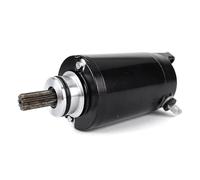 Motor Assembly for Triumph for Tiger 800 XC XCA XCA XR XRT 800 XRX 2016-2019 Replace Engine T1313333 9 Teeth Motorcycle Starter Motor