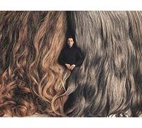 Motorcycle Display Team - Letters Of Last Resort