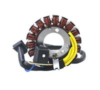 Motorcycle Generator Stator Coil Comp for GV250 2012 2013 2014 2015 GT250 GT250R GTR250 2009 2018