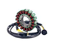 Motorcycle Ignitor Stator Coil Replacement For 300cc ATVs Compatible With 300 300 FA-H300 FA-D300 300B 2.1.01.2060