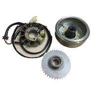 Motorcycle Magnetic Motor Ignition Coil CBT250 CA250 DD150 DD250 ATV250 stator Rotor 253FMM Double Cylinder(Coil Rotor Gear)