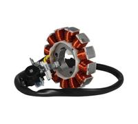 Motorcycle Magneto Stator Coil Compatible avec YZ250F YZ250FX YZ450F YZ450FX WR450F YZ450F Fits OEM Part BR9 81410 00