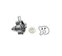 Motorcycle Moteur Pompe à Eau Couvre-Couvercle Routette de Roue de Joint de palier Compatible avec ZS174MN-3 ZS174MN-5 Modèles CBS300 NB300(Water Pump Shaft Kit)