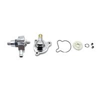Motorcycle Moteur Pompe à Eau Couvre-Couvercle Routette de Roue de Joint de palier Compatible avec ZS174MN-3 ZS174MN-5 Modèles CBS300 NB300(Full Kit)
