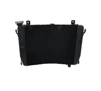 Motorcycle réservoir Grille radiateur Protection Système Réservoir d'eau Refroidissement pour Radiateur De Moteur Moto Refroidisseur Liquide, Adapté pour RS660 RS 660 pour Tuono 2020 - 23 2024