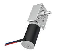 Motoréducteur à vis sans fin cc 5840, avec encodeur Hall 31ZY, moteur électrique autobloquant, couple élevé 24V(40RPM,24V)