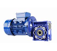 MOTORÉDUCTEUR TRIPHASÉ 220V / 400V 0,17CV / 0,12KW (14 tr/min de sortie)