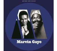 Marvin Gaye – Motown Anniversary – Vinyle