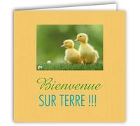 MOTS-006 Carte NAISSANCE BÉBÉ FÉLICITATIONS Bienvenue sur Terre Poussin Caneton Avec Enveloppe Carré Format 15x15cm - Citation Illustrée Photo d Art Collection Mots en image -édition française