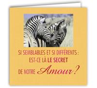 MOTS-014 Carte Je t'aime Le Secret de notre Amour Couple Zèbres Amoureux Bisous Avec Enveloppe Carré Format 15x15cm - Citation Illustrée Photo d Art Collection Mots en image édition française