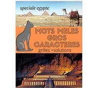 Mots melés gros caractères grille + solutions spéciale Egypte: Mots melés sur le thème de l'Egypte carnet pour adulte quizz de voyage jeux pour s'amuser