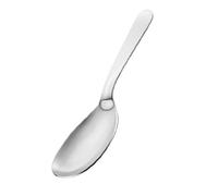 Motta Stainless Steel Serving Spoon by