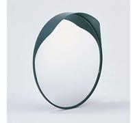 Miroir d'inspection convexe Mottez 300mm vert