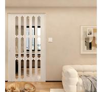 Moubhjd Porte Accordéon Interieur, Porte Pliante Magnétique en PVC, PVC et acrylique transparent, pour salle de bain, chambre, buanderie, cuisine（Double ouverture、Size：W:220 x H:190cm）