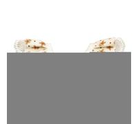 Mouchoirs de Noël pour chiens, foulards de Noël pour chiens, bandanas de Noël bavoirs réglables pour, mignon dentelle respirante écharpe pour animaux de compagnie Accessoires réversibles pa