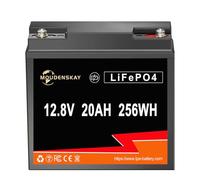 MOUDENSKAY Batterie LiFePO4 12V 20Ah Batterie lithium 12V à décharge profonde avec plus de 4 500 cycles et protection BMS pour l'éclairage de secours, les systèmes solaires, la marine, etc.